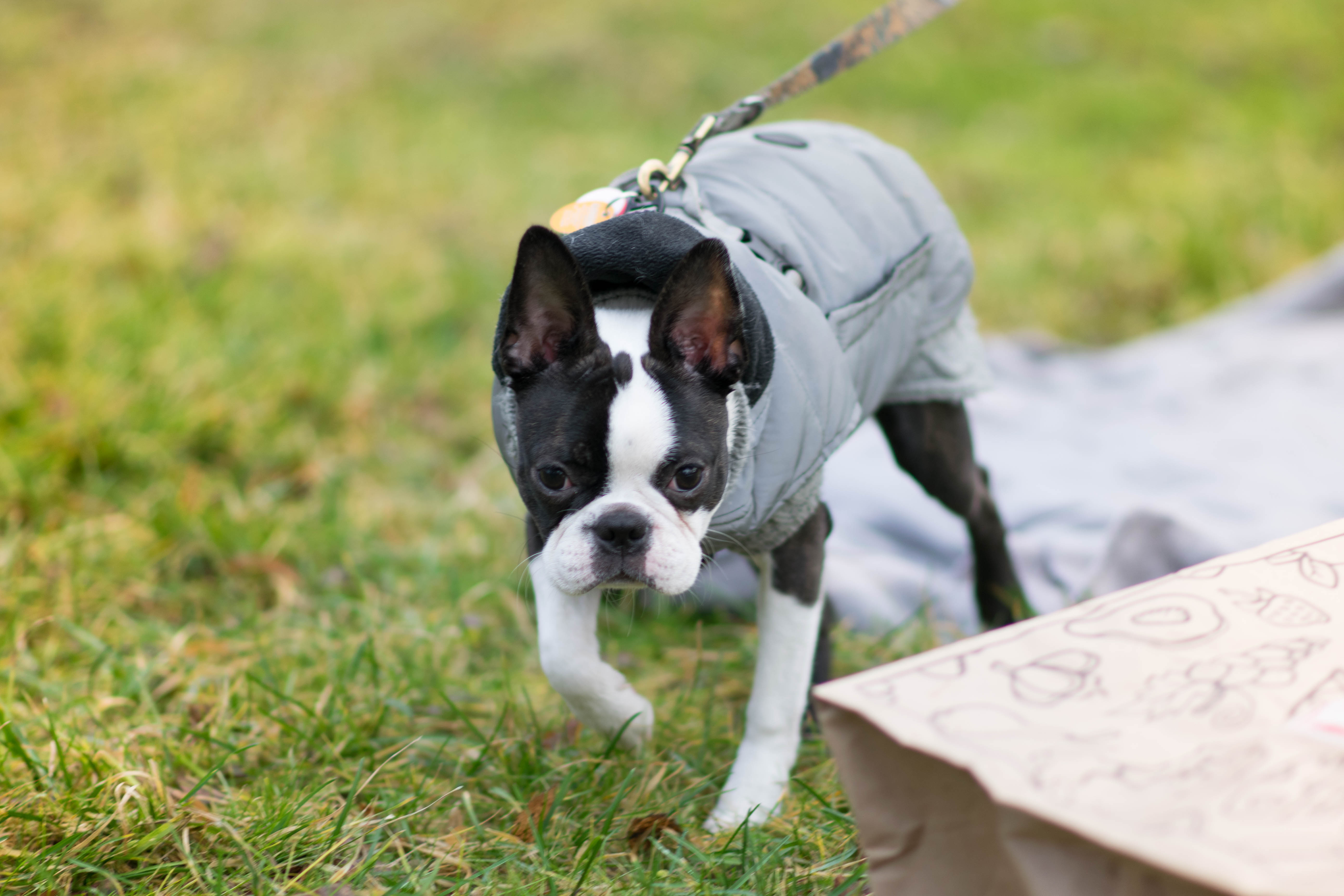 styczen szkolenie drugie 5